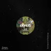 Skylab cover