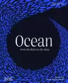 Ocean cover