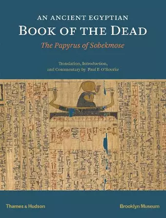 An Ancient Egyptian Book of the Dead cover