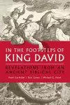 In the Footsteps of King David cover