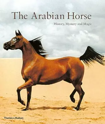 The Arabian Horse cover