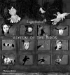 Asylum of the Birds cover