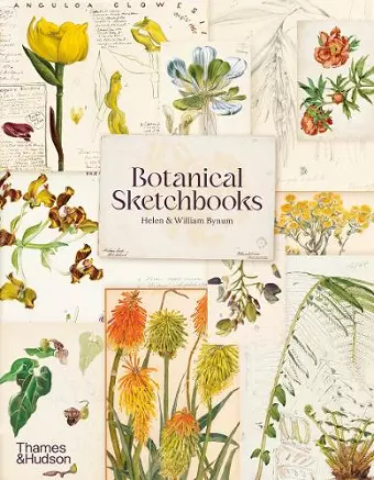 Botanical Sketchbooks cover