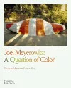 Joel Meyerowitz: A Question of Color cover