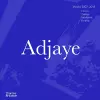 Adjaye cover