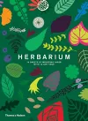 Herbarium: Gift Wrapping Paper Book cover
