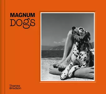 Magnum Dogs cover