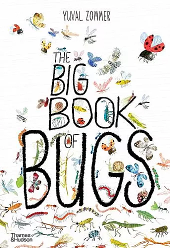 The Big Book of Bugs cover