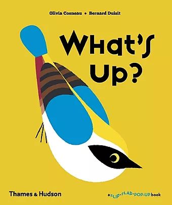 What's Up? cover