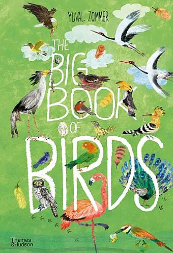 The Big Book of Birds cover