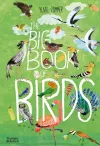 The Big Book of Birds cover