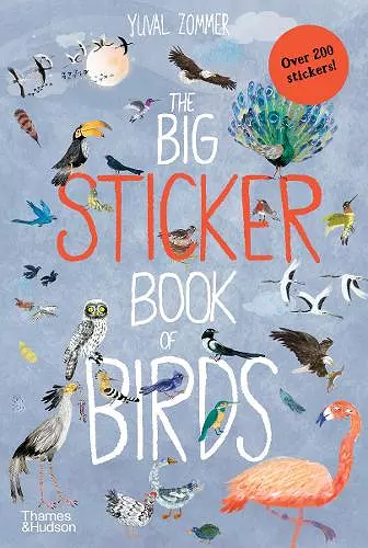 The Big Sticker Book of Birds cover