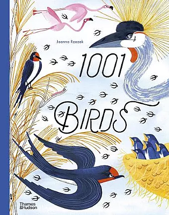 1001 Birds cover