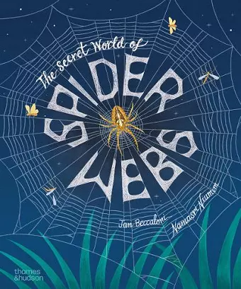 The Secret World of Spider Webs cover