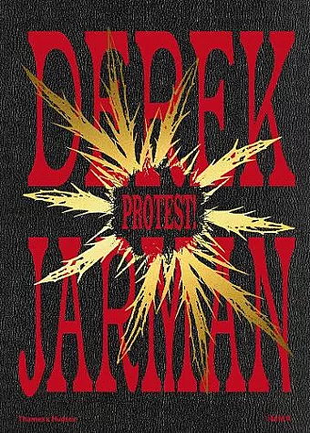 Derek Jarman: Protest! cover