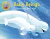 Baby Beluga cover