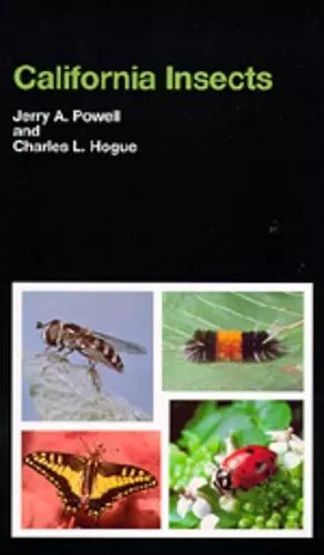 California Insects cover