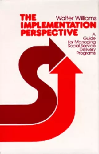 The Implementation Perspective cover