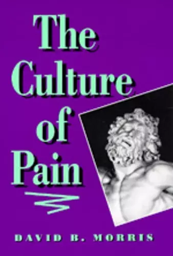 The Culture of Pain cover