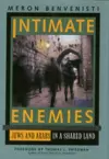 Intimate Enemies cover