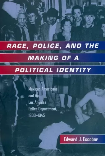 Race, Police, and the Making of a Political Identity cover