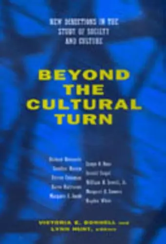 Beyond the Cultural Turn cover