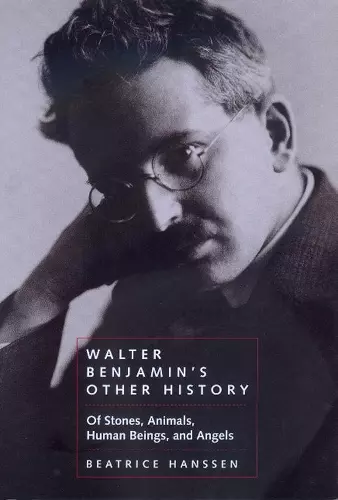 Walter Benjamin's Other History cover