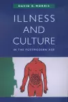 Illness and Culture in the Postmodern Age cover