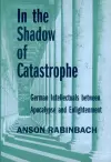 In the Shadow of Catastrophe cover