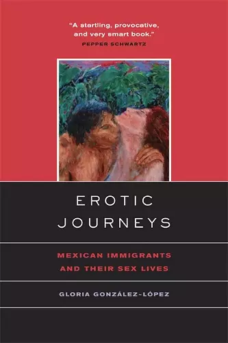 Erotic Journeys cover