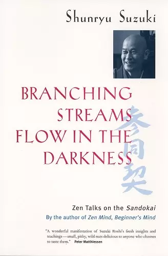 Branching Streams Flow in the Darkness cover