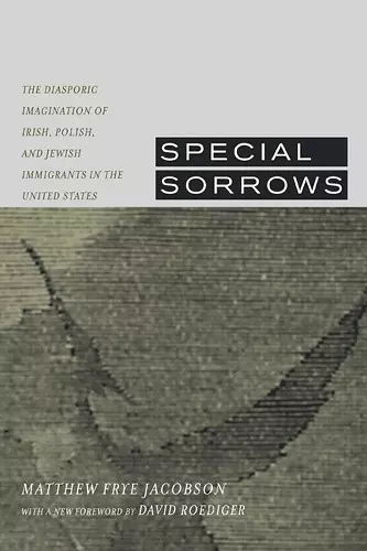 Special Sorrows cover