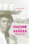 Culture and the Senses cover