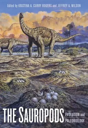 The Sauropods cover