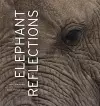 Elephant Reflections cover