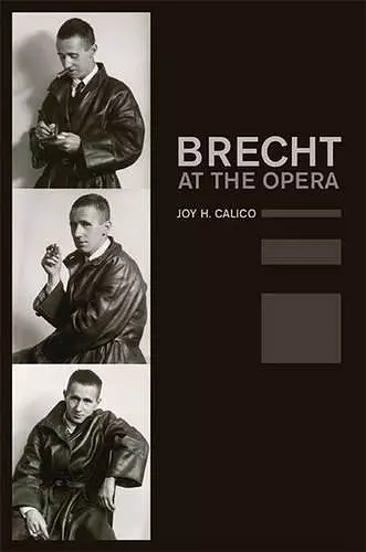 Brecht at the Opera cover