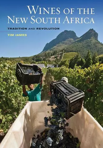 Wines of the New South Africa cover