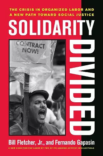 Solidarity Divided cover