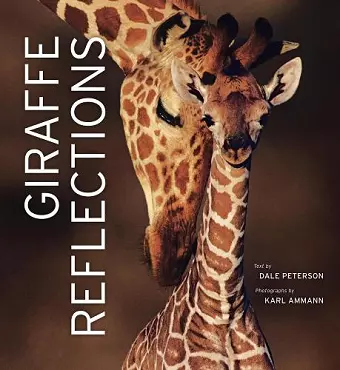 Giraffe Reflections cover