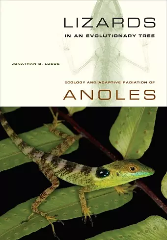 Lizards in an Evolutionary Tree cover