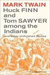 Huck Finn and Tom Sawyer among the Indians cover