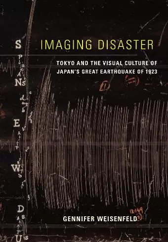 Imaging Disaster cover