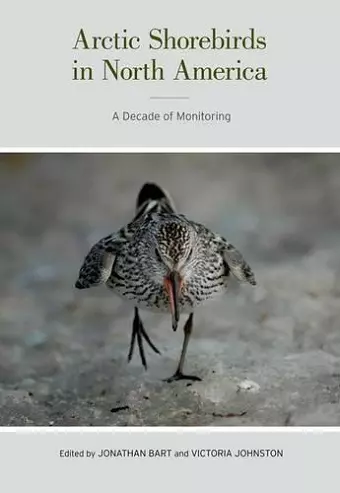 Arctic Shorebirds in North America cover