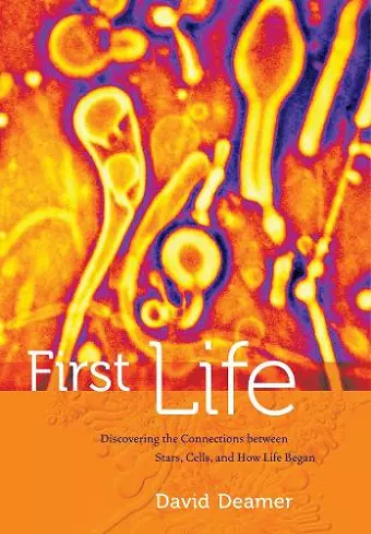 First Life cover