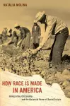 How Race Is Made in America cover