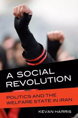 A Social Revolution cover