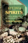 Divided Spirits cover