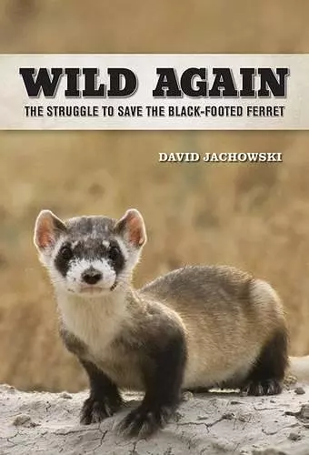 Wild Again cover