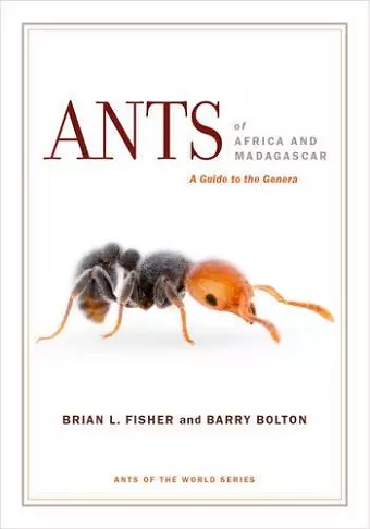 Ants of Africa and Madagascar cover