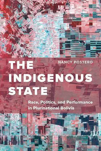 The Indigenous State cover